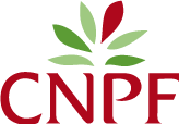 cnpf
